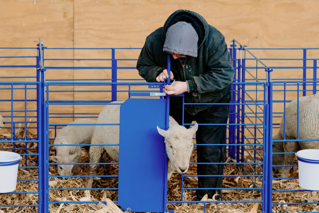 Grafting Gate for Non-Horned and Horned Stock (460)