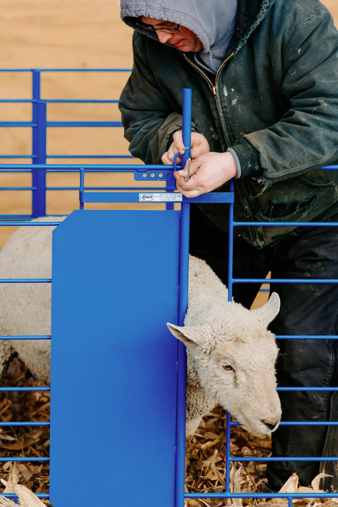 Grafting Gate for Non-Horned and Horned Stock (460)