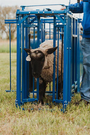 Complete Cage with Auto Headgate (971)