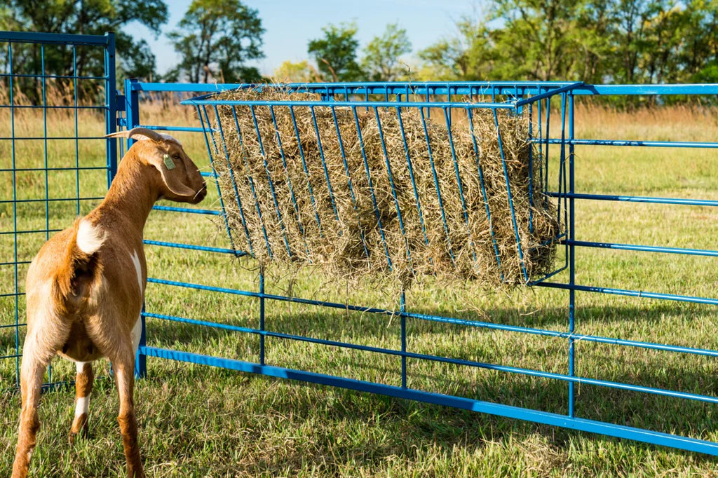 47" Hay Basket (203)