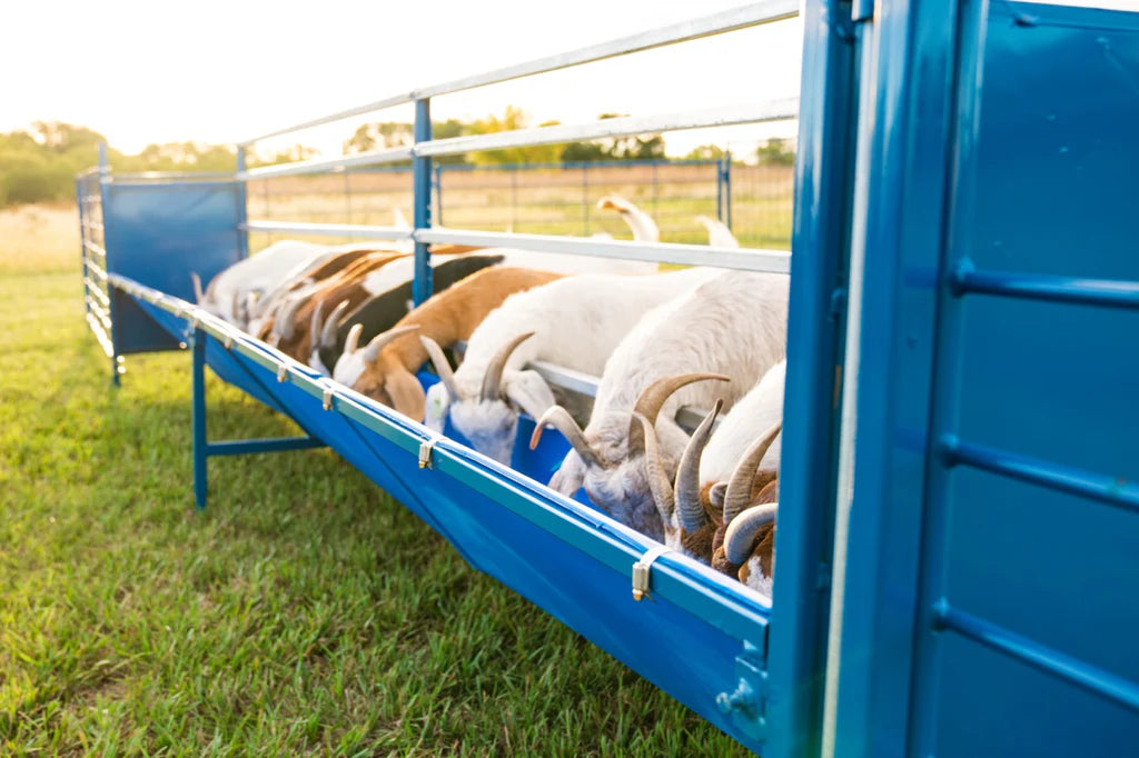 Starter Horizonal Fenceline Feeders (815HP/817HP)