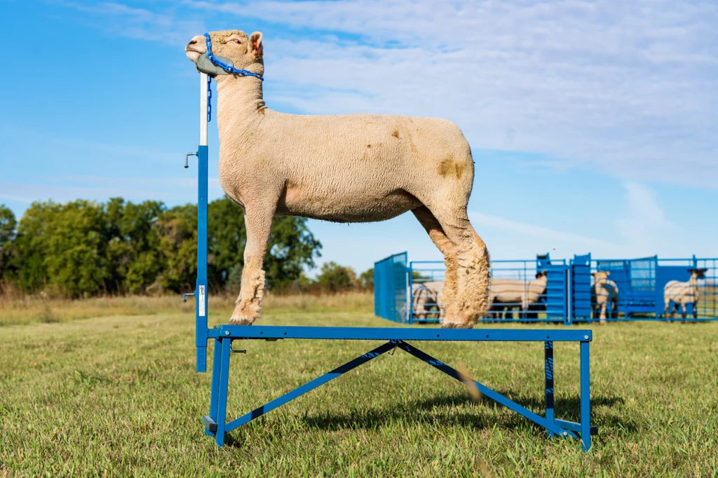 Fold-Up Fitting Stand (705)