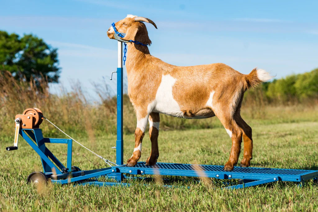 Winch Blocking Stand - up to 19" (750A)