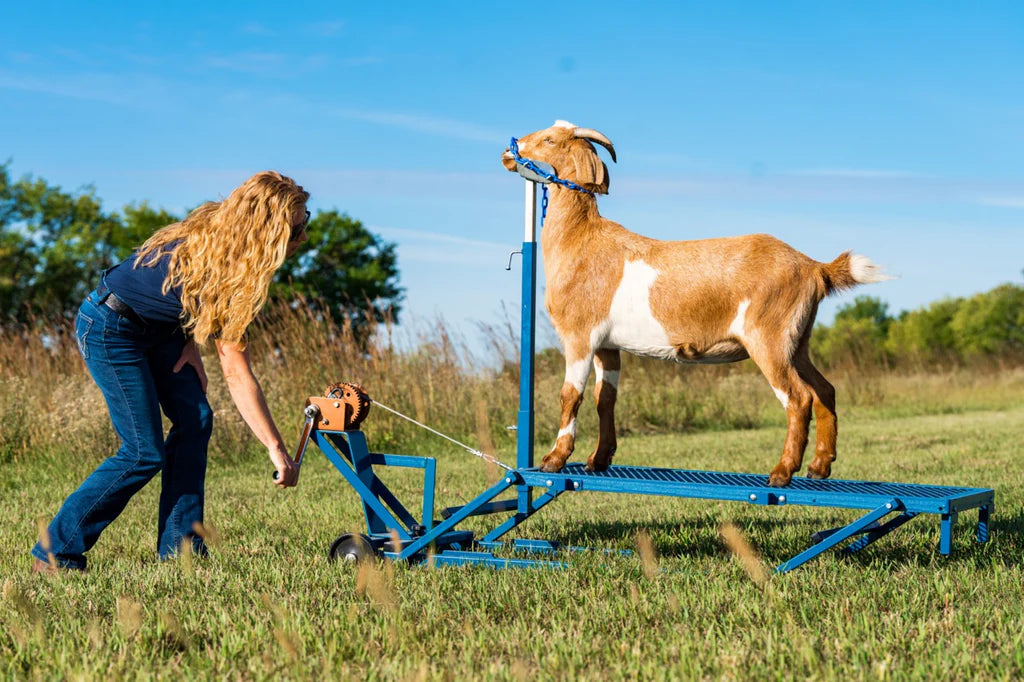 Winch Blocking Stand - up to 19" (750A)