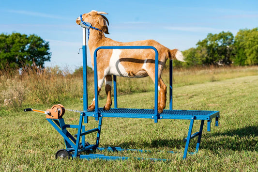 Safety Rails – Item #0721 For Sydell SHOWMAN’S BEST Stands & Milking Stanchions