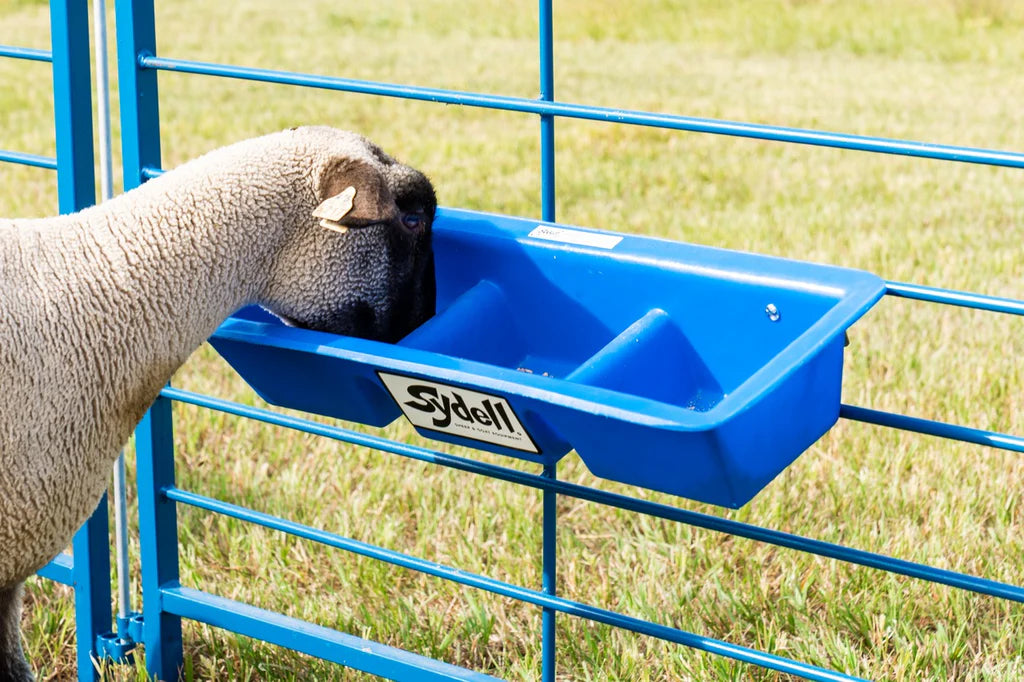 2' Divided Poly Trough (1022-3)