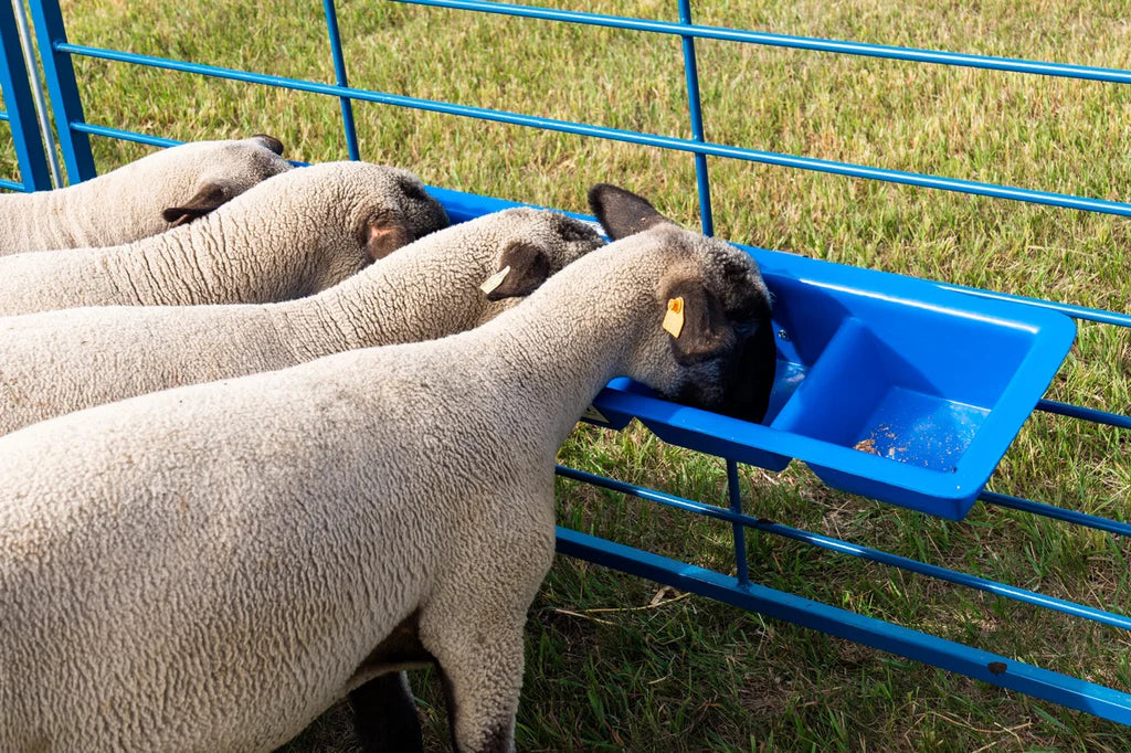 4' Divided Poly Trough (1024-5)