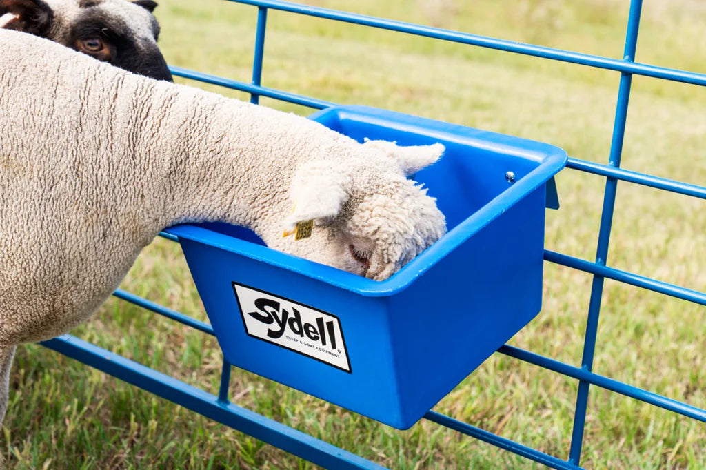 Box Feeder (1024B)
