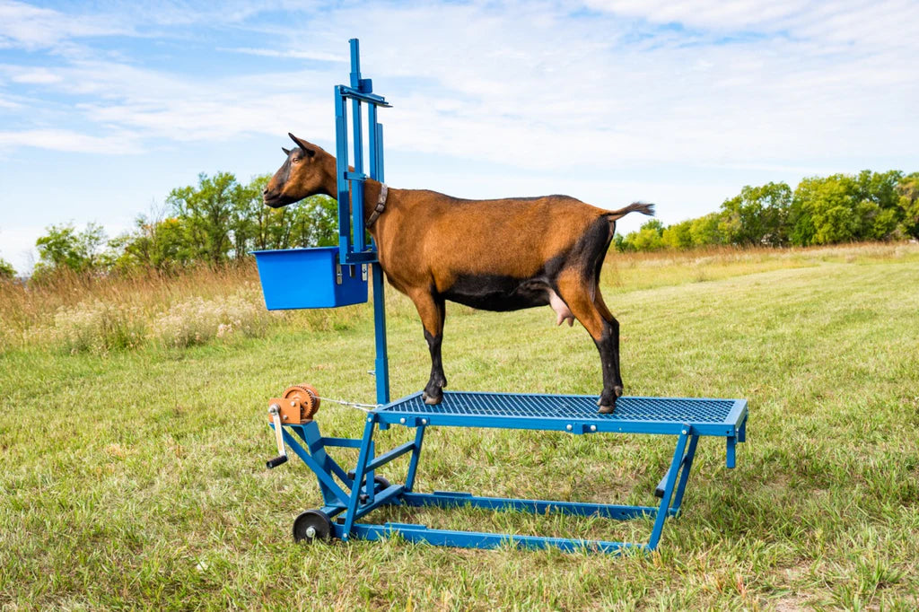 Box Feeder (1024B)