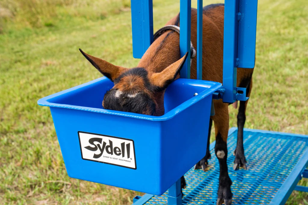 Box Feeder (1024B)