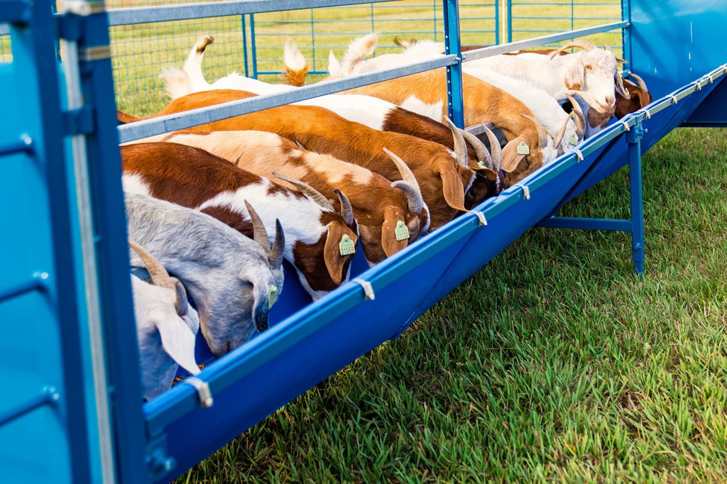 Starter Horizonal Fenceline Feeders (815HP/817HP)