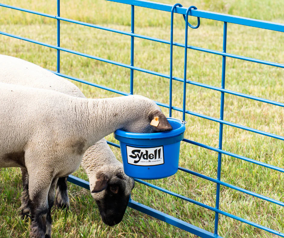 8qt Heavy Duty Pail (223)