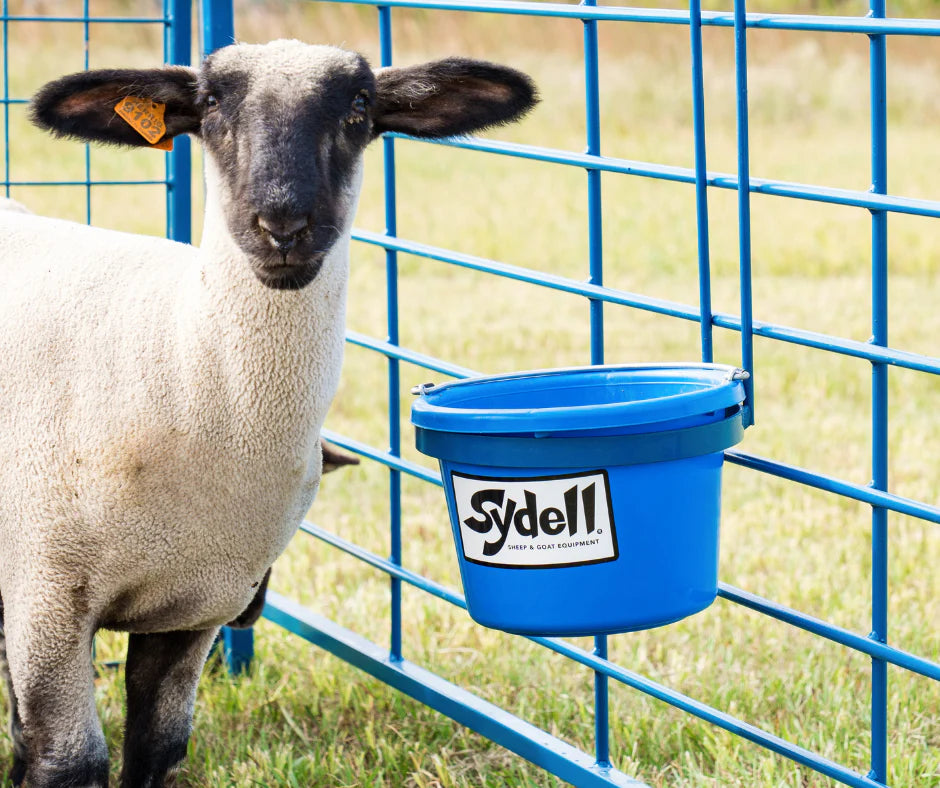 8qt Heavy Duty Pail (223)