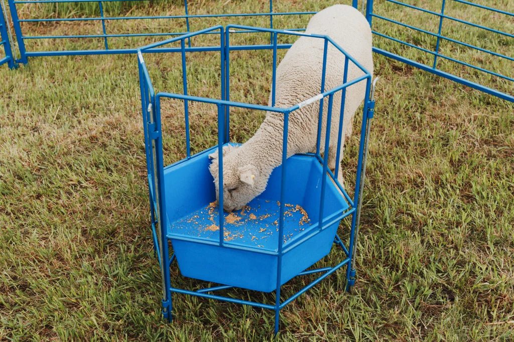 6-Sided Sectional Feeder w/Poly Tub (811)
