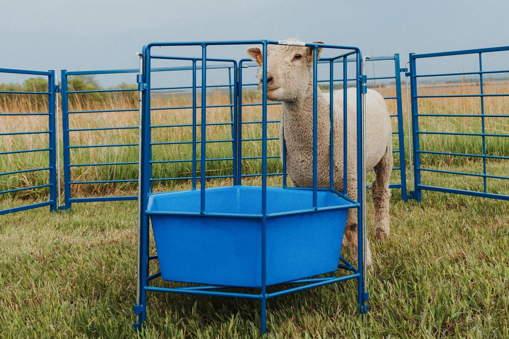 6-Sided Sectional Feeder w/Poly Tub (811)