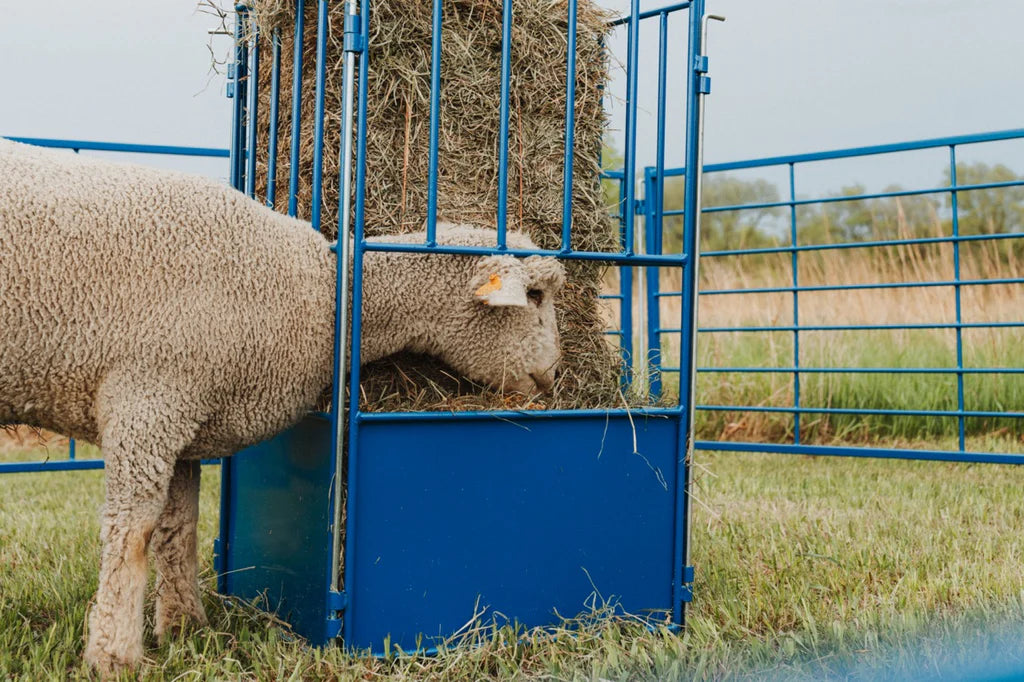 Small Square Bale Feeder (812)