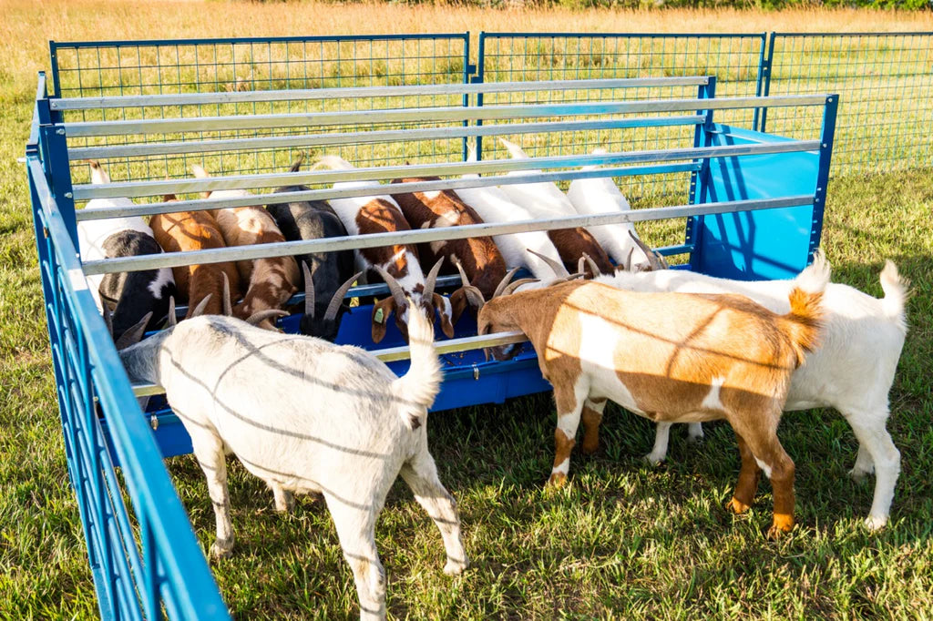 2-Sided Horizontal Combination Feeders (824HP/826HP)