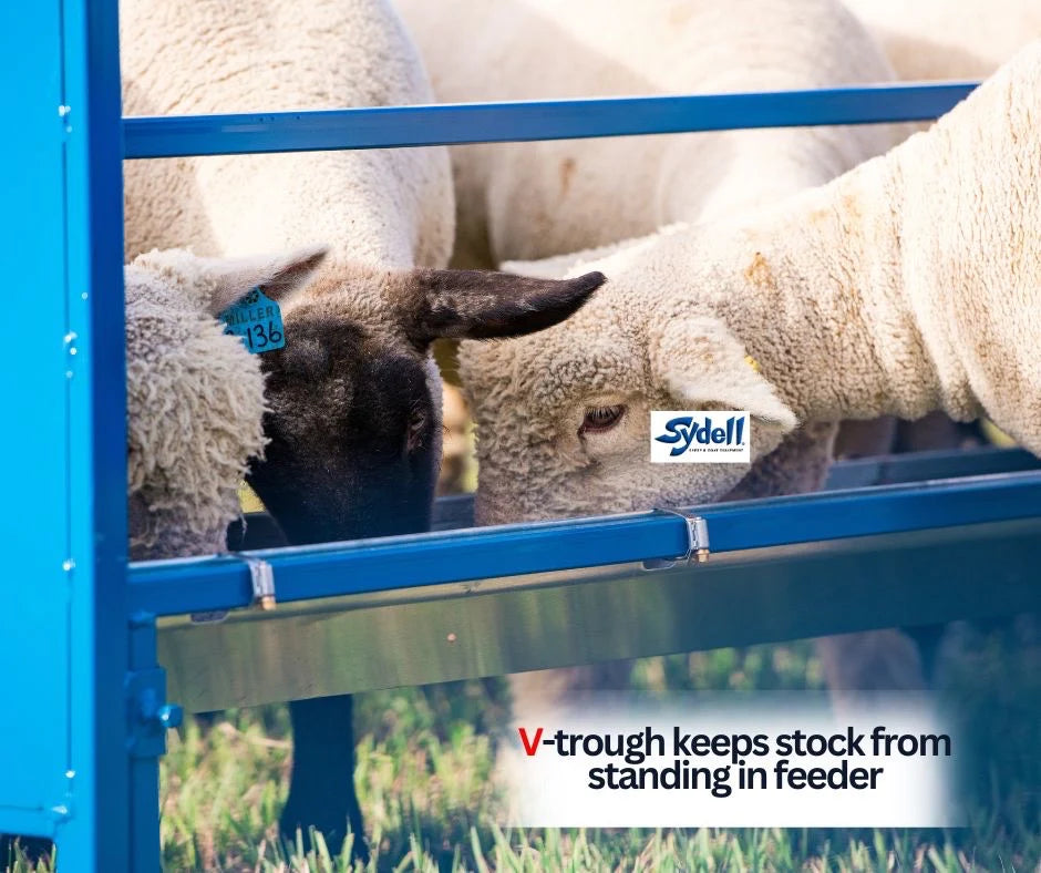 Trough Grain Feeder, V Shaped Trough, Bunk Feeder (0852V-4)