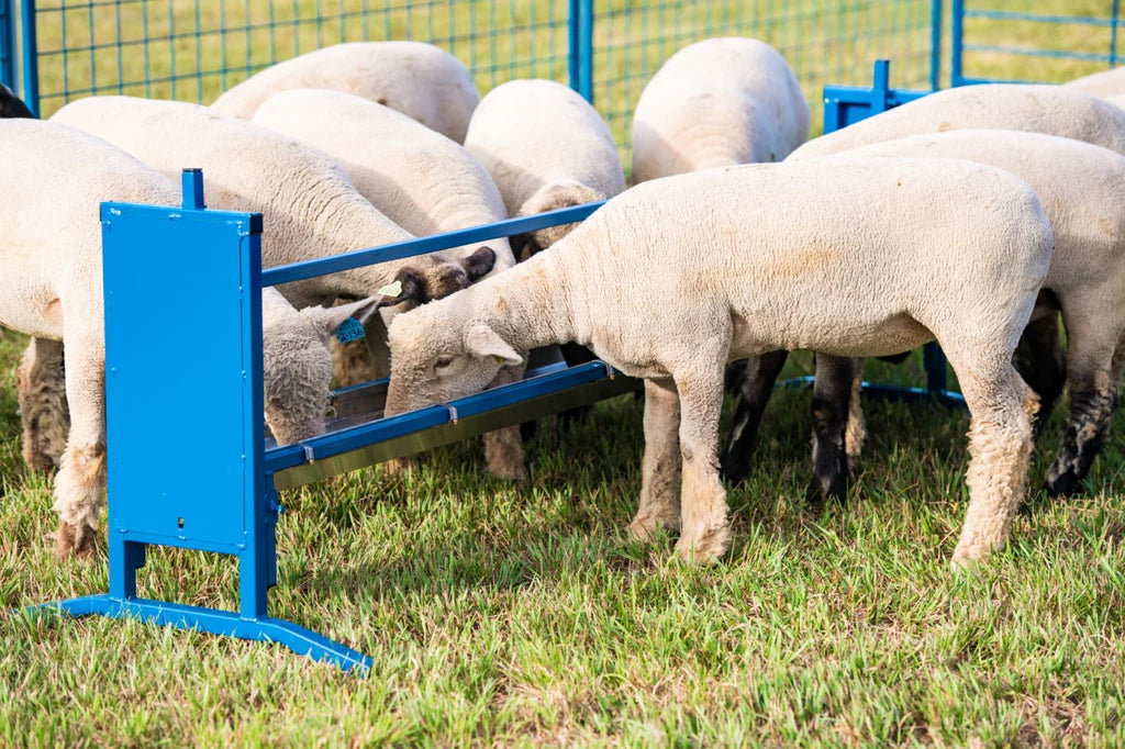 Trough Grain Feeder, V Shaped Trough, Bunk Feeder (0852V-4)
