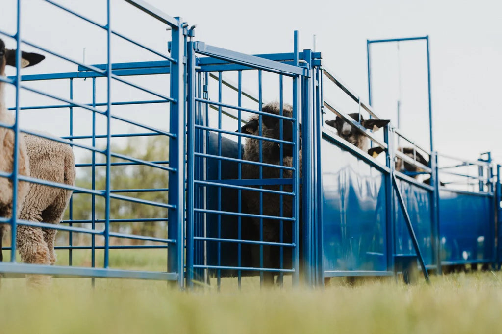 2-Way Sorting Gate (910)