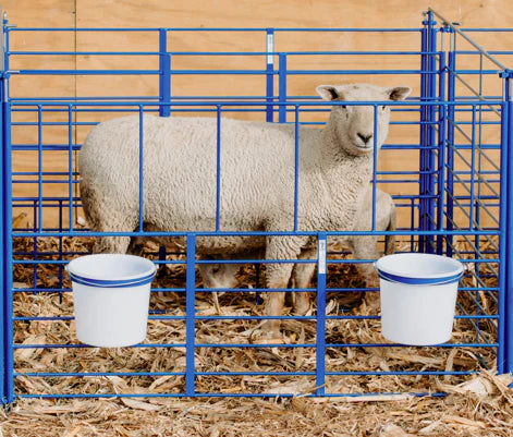 Wall Mount Starter Pens