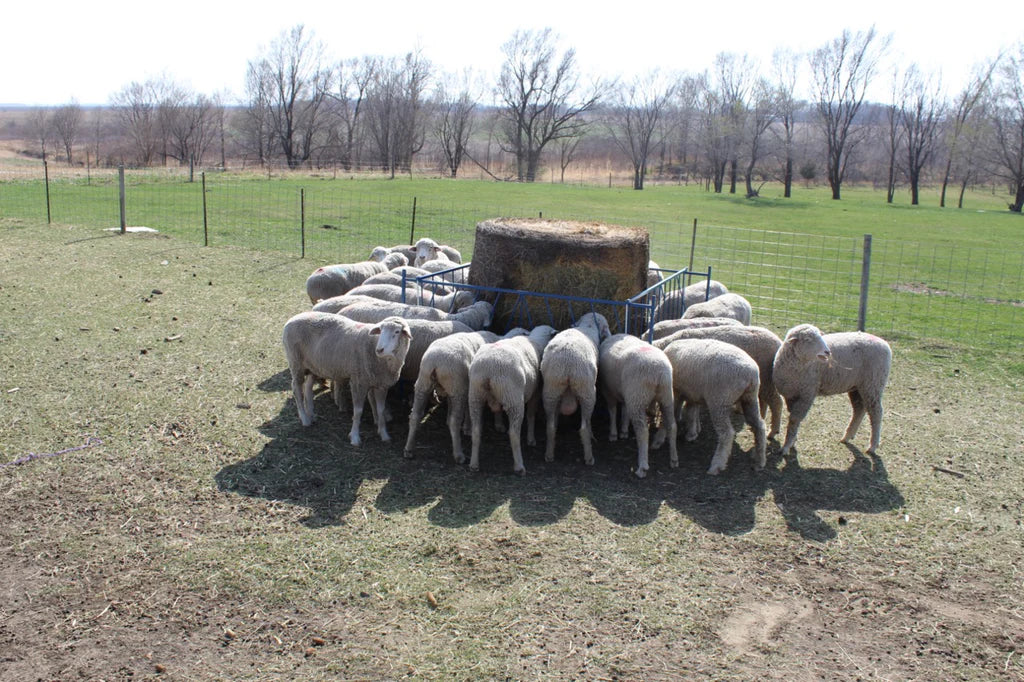 Collapsible Bale Feeders - Horizontal Manger (886/887)
