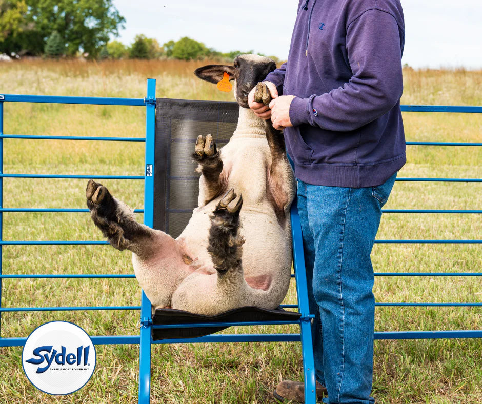 Sheep Chair (SS0610)