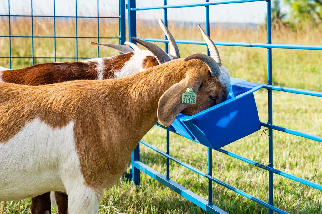 2' Poly Trough (1022)