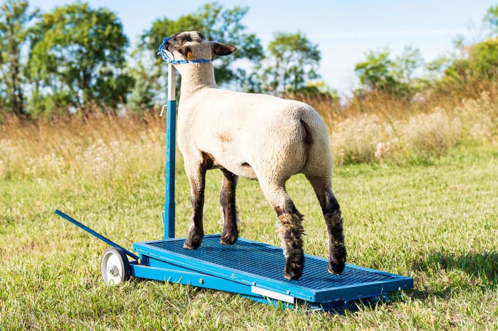 Hydraulic Stand (780)