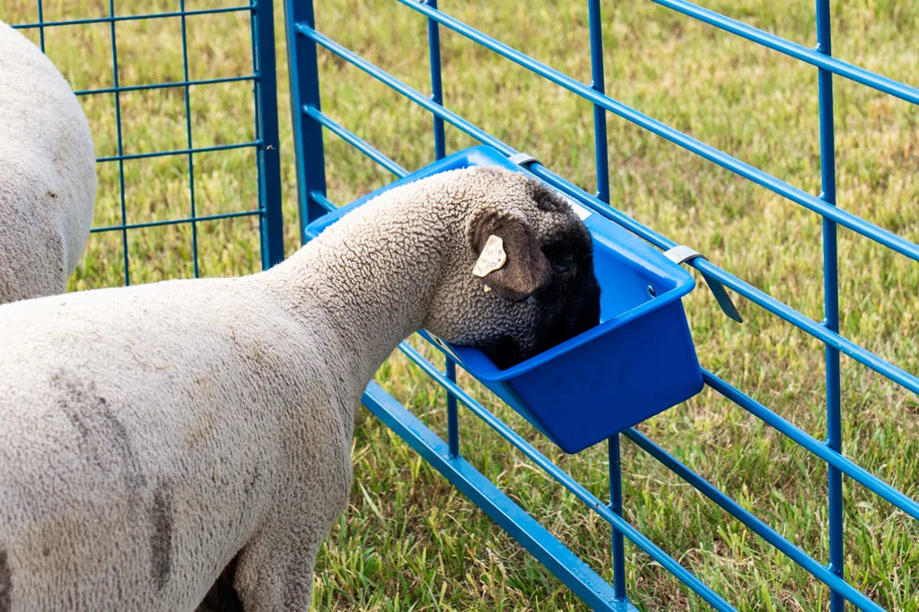 1' Poly Trough (1021)