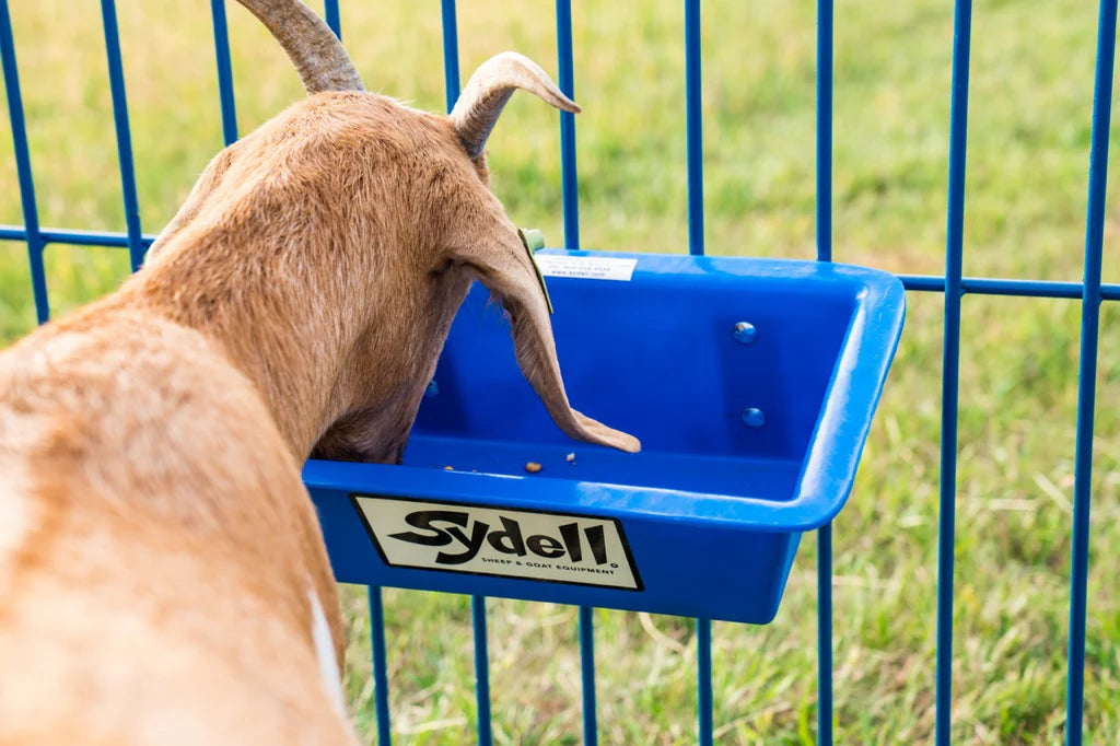 1' Poly Trough (1021)