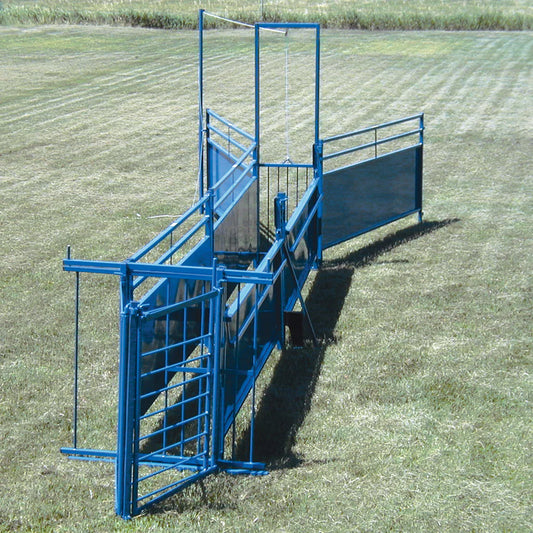 System C Working System (993)
