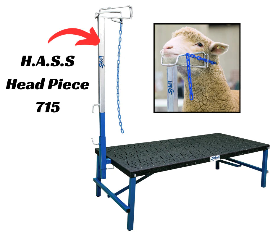 H.A.S.S. Head Piece (715)