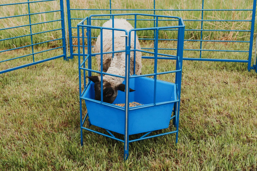 6-Sided Sectional Feeder w/Poly Tub and Center Guard (811-8)