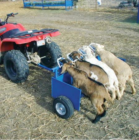4-Head Chariot (743)