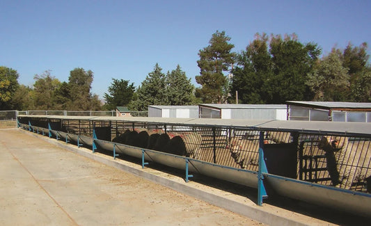 Fenceline Feeder Starter Top (815TOP/817TOP)