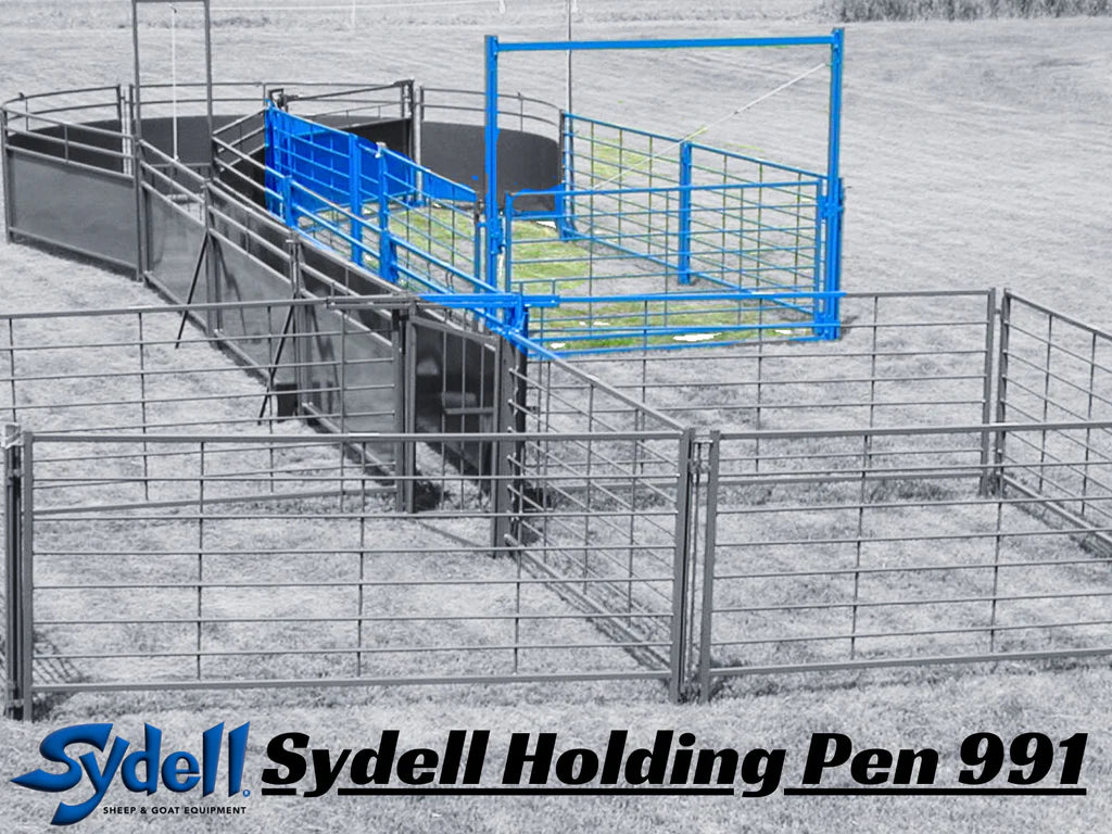 Holding Pen (991PEN)