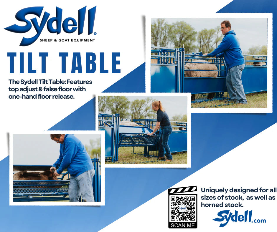 Tilt Table (930)